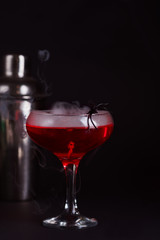 Halloween bloody cocktail with spider