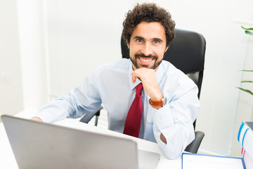 Fototapeta premium Smiling businessman portrait
