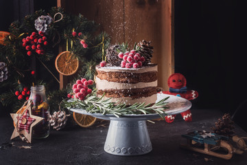 Rustic chocolate Christmas cake with citrus on a white dishes with green - Powered by Adobe