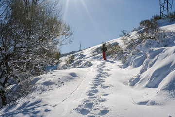 Camino de invierno