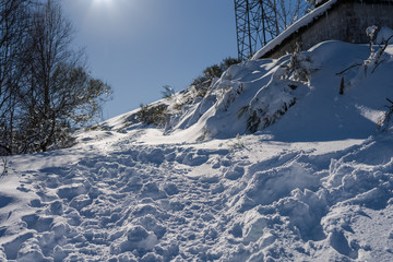 Nieve pisada