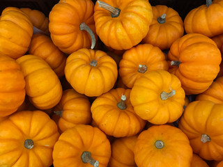Baby pumpkins