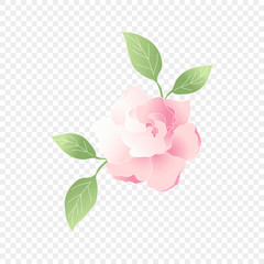 Isolated pink flower. Vector floral