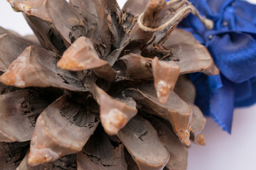 Cedar cone on the background of the toy