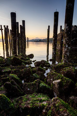 Mt Rainier Puget Sound Sunrise
