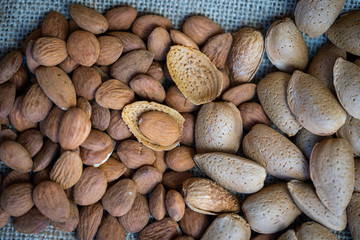 Obraz premium une amande dans sa coque au milieu d'autres amandes