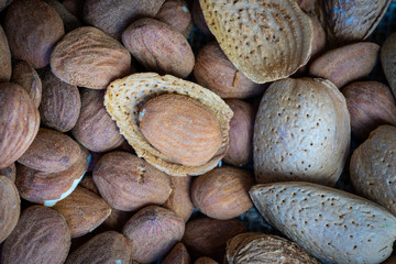 une amande en gros plan dans sa coque au milieu d'autres amandes