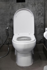 White hanging toilet seat on white toilet in the home bathroom with grey tiles in concrete style and toilet paper on the wall. Bathroom luxury interior.