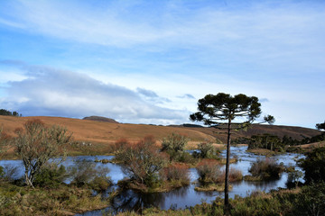 Obraz premium riacho em rio grande do sul