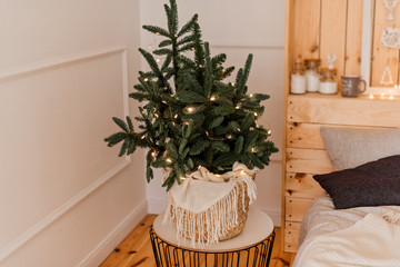 Branch of pine with Christmas light on night stand