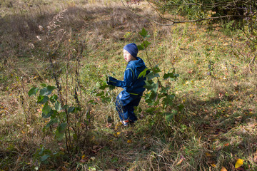 boy runs away in the autumn in nature,scared boy running around in the autumn on dry grass