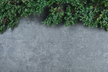 Natural Christmas background with border of fluffy green fir branches on a textured dark gray background. Copy space for text, flat lay, top view.