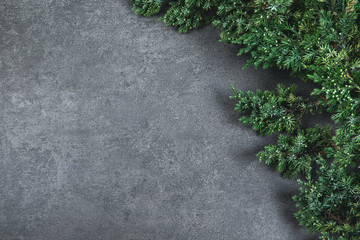 Natural Christmas background with border of fluffy green fir branches on a textured dark gray background. Copy space for text, flat lay, top view.