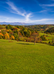 Aerial drone view of amazing autumn colors in fall landscape. Brkini, Slovenia