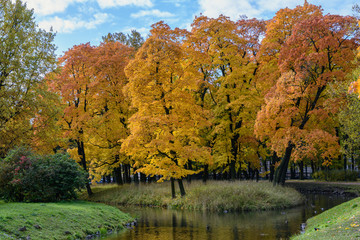 Bright colors of autumn, colorful and bright trees stand on an small island in the middle of the pond, beautiful view