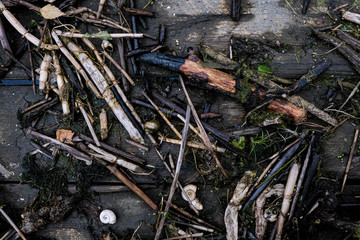 shells and water debris dumped on the pier