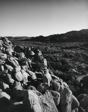 Joshua Tree Landscape Shot on Medium Format Film