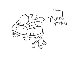Just married car