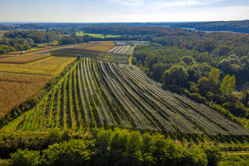 Fototapeta premium Kovačevac (Municipality of Rovišće, Bjelovar Bilogora County, Croatia) from above 