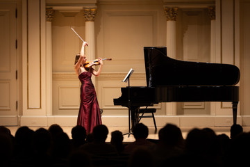 Violinist - violin - model