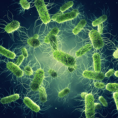 Pathogenic Salmonella Bacteria, Microbiological research