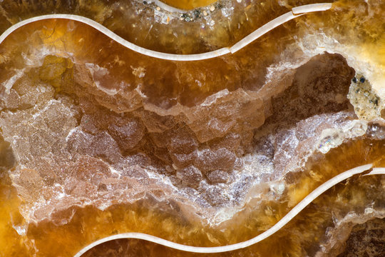 Crystalline patterns in a chamber created by septums in a fossil ammonite, Cleoniceras sp