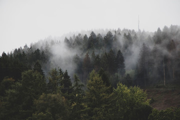 foggy mountains