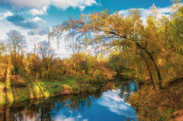 Fototapeta na wymiar Latvian autumn nature. Forest and river Jugla.