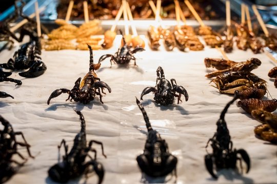 Insects on sale in a Market in Bangkok. Thailand.