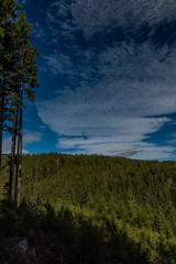 Obraz premium Forest in National park Sumava in color autumn sunny morning with meadows