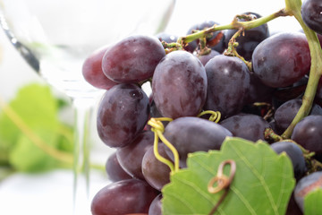 Fresh blue grapes and a glass