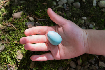 Girl's hand holding blue egg