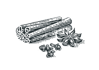 Spice. Anise, cinnamon and clove. Hand drawn engraving style illustrations.