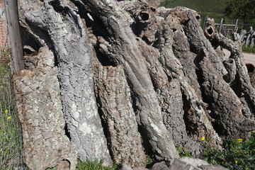 Cork, Cork pieces. (quercus suber) Many pieces from the  cork oak bark, natural raw material, ready to transportation and further processing. Portugal, Alentejo, near Mertola