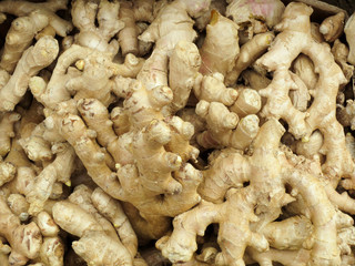Fresh organic ginger root on the market.