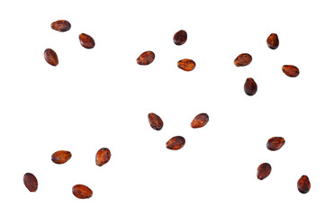 watermelon seed isolated on white background. top view
