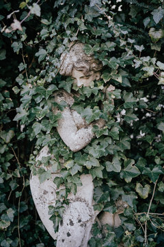Stone statue of woman hidden in foliage
