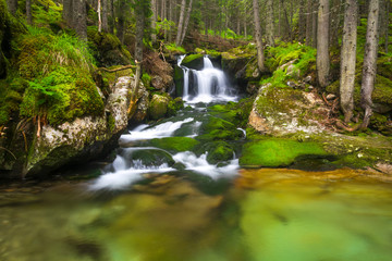 Waterfall in the green forest in the highest mountain of Romania. Peaceful and tranquil landscape with beautiful waterfall in forest. Rain-forest, jungle, waterfall, paradise, green, leaves, tropical.