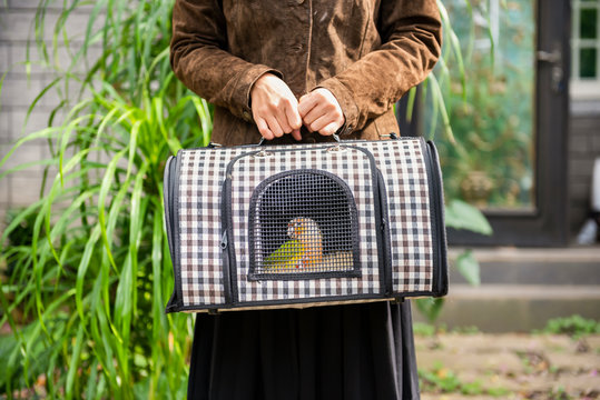 Woman take parrot carrying case and go out