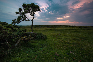 bodmin moor at dusk with orange sky