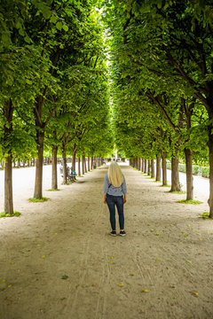 Woman between rows of trees in Palais-Royal gardens in Paris, France