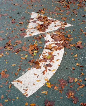 Fall Arrow