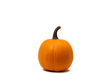orange pumpkin with white background