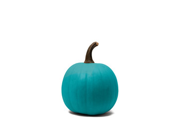 teal pumpkin with white background