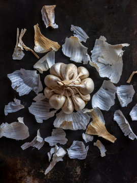 head of garlic