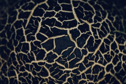 Alien background