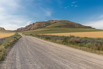 Fototapeta na wymiar Gravel road leading to ancient mountains in wheat fields