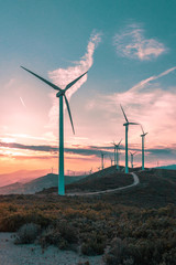 Wind turbines on beautiful sunny summer purple autumn mountain landsape. Curvy road through mountain Eolic park. Green ecological power energy generation. Wind farm eco field - obrazy, fototapety, plakaty