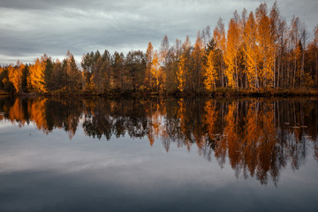Красивый осенний лес отражается в зеркале пруда