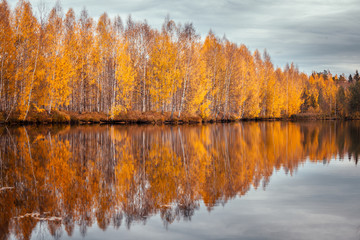 Красивый осенний лес отражается в зеркале пруда